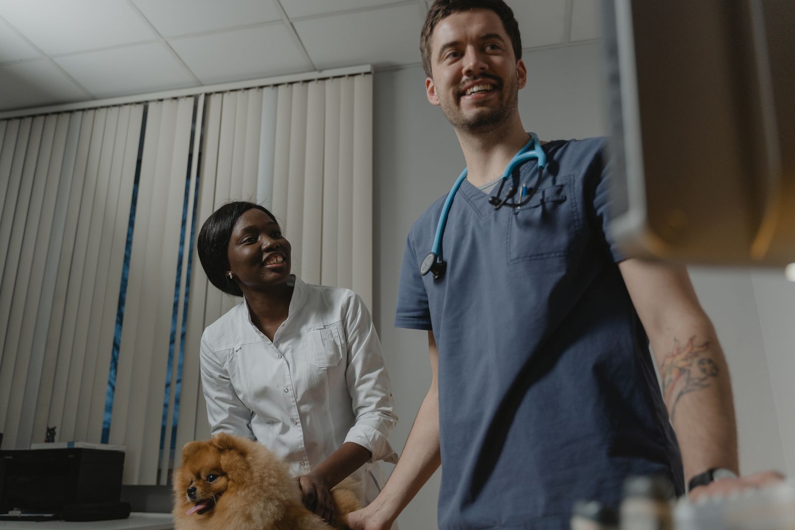 A veterinary team caring for a dog